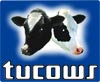 Tocows